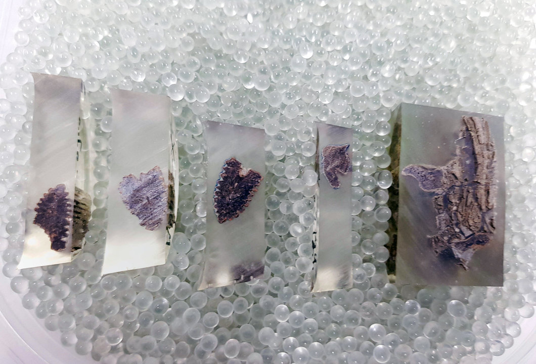Las secciones cortadas de un hueso en resina epóxica, sobre perlas de cristal para el análisis de fluorescencia de rayos X en la Universidad Libre de Bruselas. (Vrije Universiteit Brussel vía The New York Times)