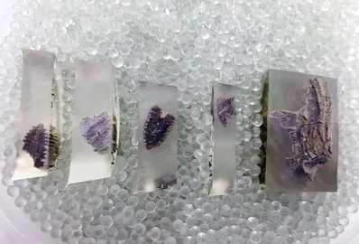 Las secciones cortadas de un hueso en resina ep&oacute;xica, sobre perlas de cristal para el an&aacute;lisis de fluorescencia de rayos X en la Universidad Libre de Bruselas. (Vrije Universiteit Brussel v&iacute;a The New York Times)