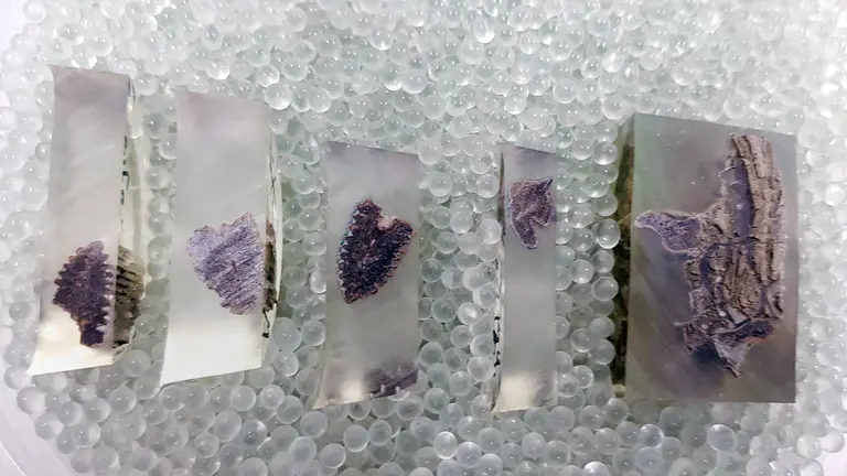 Las secciones cortadas de un hueso en resina ep&oacute;xica, sobre perlas de cristal para el an&aacute;lisis de fluorescencia de rayos X en la Universidad Libre de Bruselas. (Vrije Universiteit Brussel v&iacute;a The New York Times)